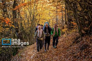 Autumn in Iran’s Golestan forests